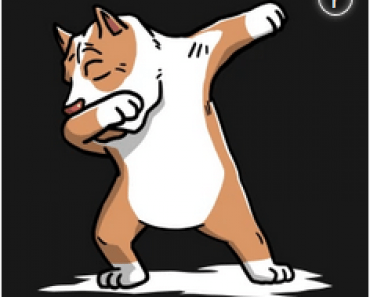 7 Pit Bull Training Tips